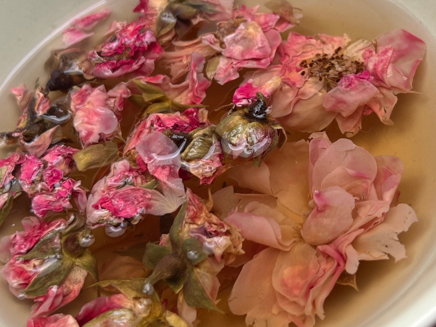 E.J.BLUE Flower Tea Blooms